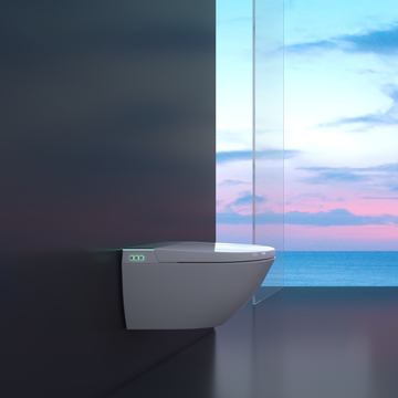 WS-28X Innovative Transparent Toilet Design